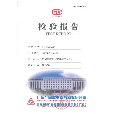 Steel insulated fireproof window GFC 5042-d-a3.00